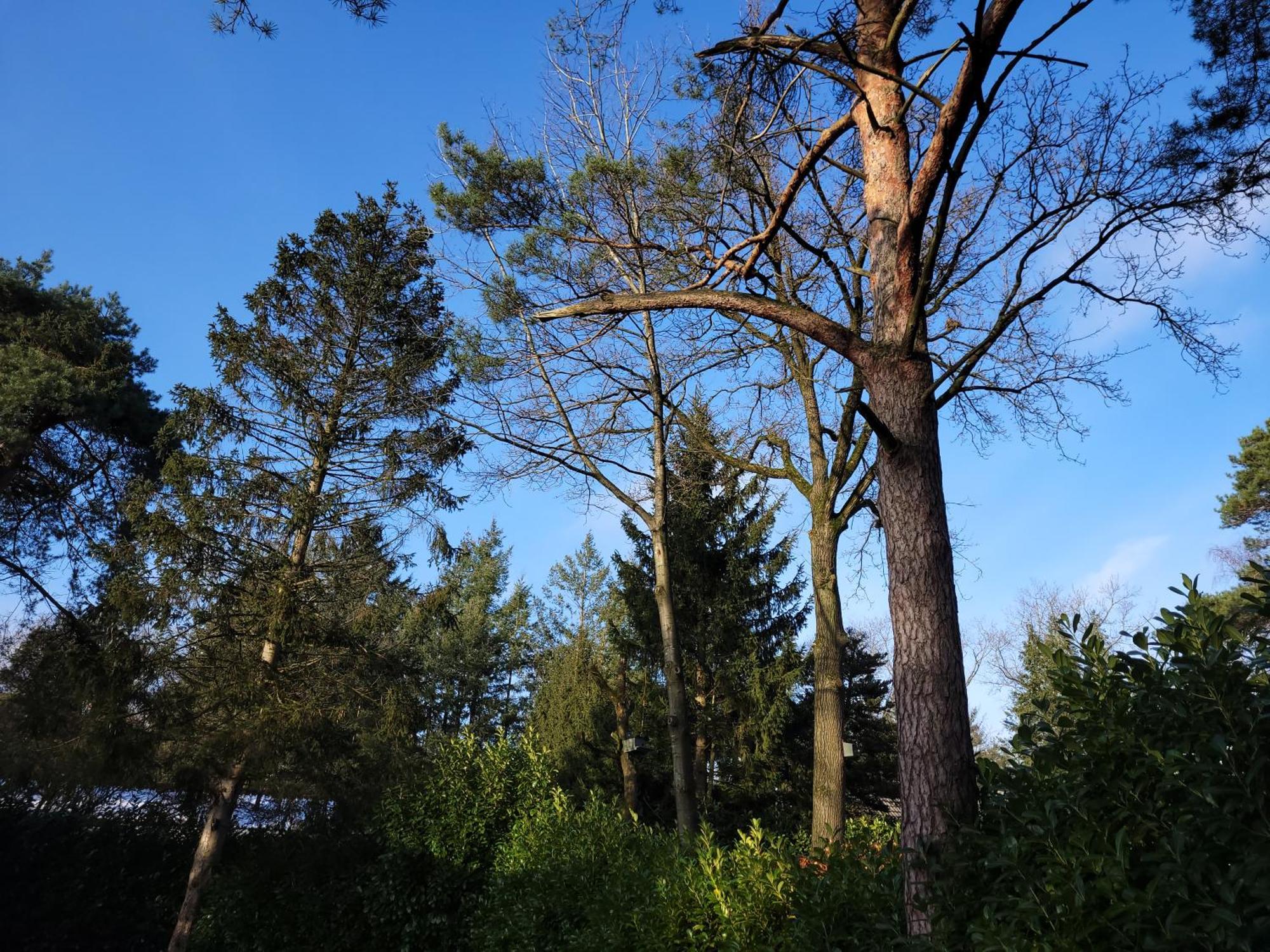 Secret Wellness Droombos Holten